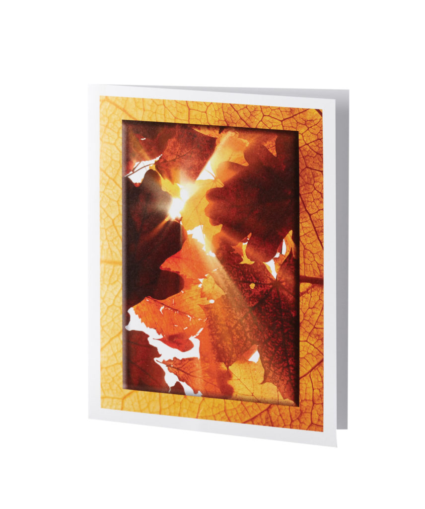 Copper Leaves Service Record Henry Schwab