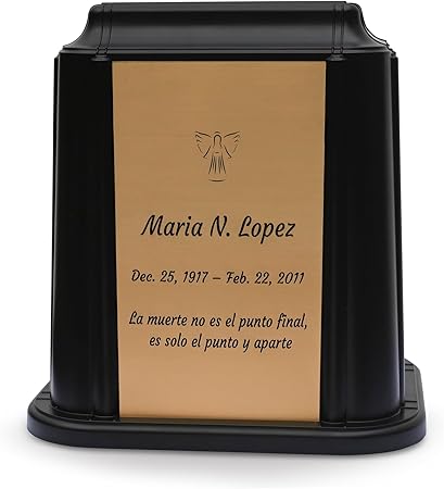 61mN4gq-IfL._AC_SY450_